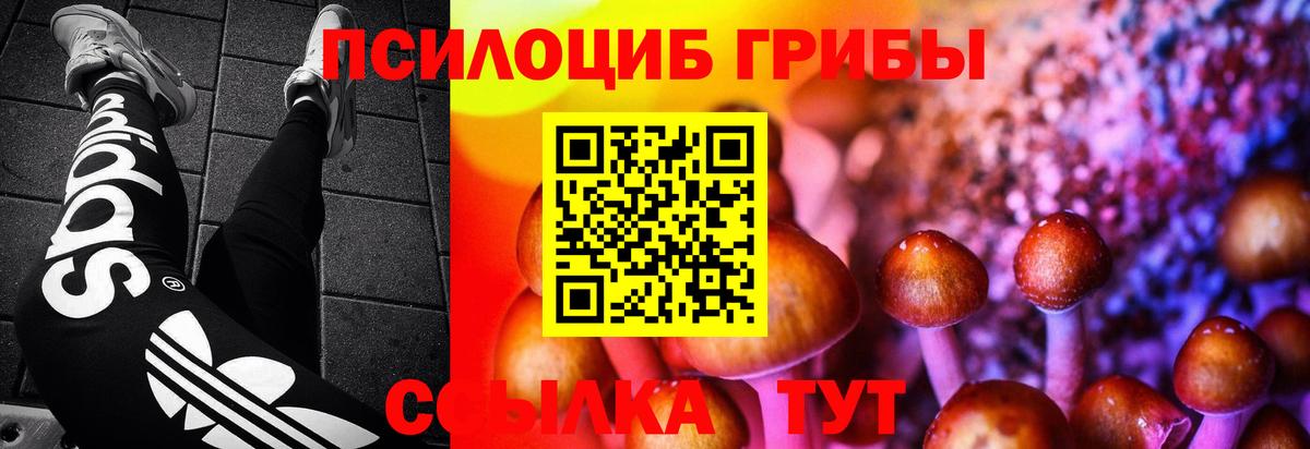 Псилоцибиновые грибы GOLDEN TEACHER Кстово